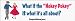 What if the Hokey Pokey is what it's all about? - funny bumper stickers (Medium 10x2....