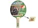 SHILDKROT Appelgren 100 Table Tennis Bat