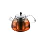 Bodum 10452-16 Teebereiter MARCEL mit Edelstahlfilter, 1,2 Liter