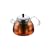 Bodum UK Marcel Tea Press with Stainless Steel Infuser, 0.6l