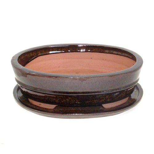 25.5cm Brown Glazed Oval Bonsai Pot and Tray 