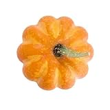 Pumpkin - 24