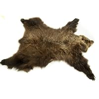 Grizzly Bear Hide - Peppery Black and Imposing