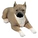 PIT BULL Pitbull Tan DOG FIGURINE lays down 528T