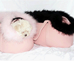 California Collection Pink and Baby Pink Boa Medium