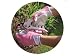 Briers Bo741 Pink Lady Glove& Secateur Med