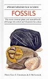 Fossils (Pocket Reference Guides)