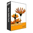 Basic Skills Pack ( Grades 3 through 5 ): Home Version