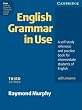 English Grammar in Use. Intermediate to Upper Intermediate: A self-study reference and practice. With answers. Third Edition