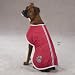 Nor'easter Dog Blanket Coat Size-See Chart Below: Large: 20" L, Color: Red