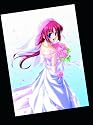 D.C.S.S.~ダ・カーポ セカンドシーズン~ DVD-BOX