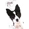 Great Dog Fiction for 3rd and 4th Graders
