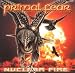 Nuclear Fire