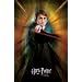 Harry Potter And The Goblet Of Fire Movies Poster Print, 22x34