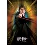 Harry Potter And The Goblet Of Fire Movies Poster Print, 22x34