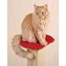 SmartCat Ultimate Post Perch