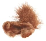 Dr Noys Cat Squirrel Small