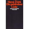 Die gnadenlose Liebe (suhrkamp taschenbuch wissenschaft)