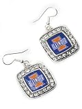 Licensed Illinois Fighting Illini College Earrings Fashion Jewelry