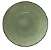 Pfaltzgraff Naturewood Serenity Dinner Plate