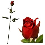 General AAS Online Shop Ranking 19. Closed Bud Rose - Red - Artificial Flower