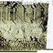 chronological autechre guide