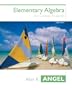 Elementary Algebra for College Students