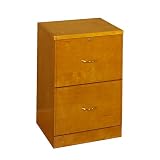 Studio RTA 2-Drawer Vertical File Cabinet- Honey