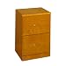Studio RTA 2-Drawer Vertical File Cabinet - Honey