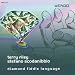 Diamond Fiddle Language