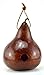Gourd Birdhouse in Red, Natural Garden Decor, Bird House Gifts, 1 1/2