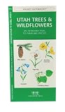 Utah Trees & Wildflowers: An Introduction to Familiar Species (State Nature Guides)
