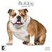 Bulldogs 2010 Wall Calendar AP30456