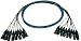 Whirlwind Medusa MT-24-F-M-50 Multitrack Audio Snake w End A XLR Female, End B XLR Male 50 ft.