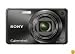 Sony Cyber-shot DSC-W290 12.1 MP Digital Camera with 5x Optical Zoom and Super Steady Shot Image Stabilization (Black)
