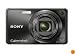Sony Cyber-shot DSC-W290 12.1 MP Digital Camera with 5x Optical Zoom and Super Steady Shot Image Stabilization (Black)