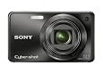 Sony Cyber-shot DSC-W290 12.1 MP Digital Camera with 5x Optical Zoom and Super Steady Shot Image Stabilization (Black)
