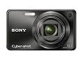 Sony Cyber-shot DSC-W290 12.1 MP Digital Camera with 5x Optical Zoom and Super Steady Shot Image Stabilization (Black)