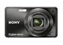 Sony Cyber-shot DSC-W290 12.1 MP Digital Camera with 5x Optical Zoom and Super Steady Shot Image Stabilization (Black)