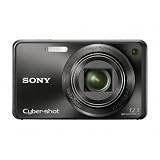 Sony Cyber-shot DSC-W290 12.1 MP Digital Camera with 5x Optical Zoom and Super Steady Shot Image Stabilization (Black)