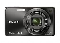 Sony Cyber-shot DSC-W290 12.1 MP Digital Camera with 5x Optical Zoom and Super Steady Shot Image Stabilization (Black)