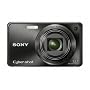 Sony Cyber-shot DSC-W290 12.1 MP Digital Camera with 5x Optical Zoom and Super Steady Shot Image Stabilization (Black)