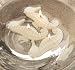 Sea Horse Candles