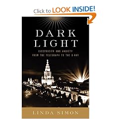 Dark Light : Electricity and Anxiety from the Telegraph to the X-Ray