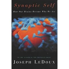 The Synaptic Self