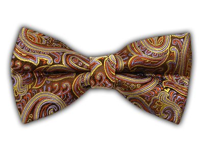100% Woven Silk Brown, Lavender and Rust Hendrix Paisley Self-Tie Bow Tie