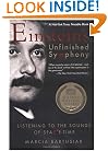 Einstein's Unfinished Symphony: Listening to the Sounds of Space-Time