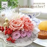 �y�x��Ă��߂�ˁB��̓��M�t�g�z���@�̂��ԃv���U�[�u�h�t�����[�ƏĂ��َq�A�����킽���Z�b�g50 (���i�C���[�W)