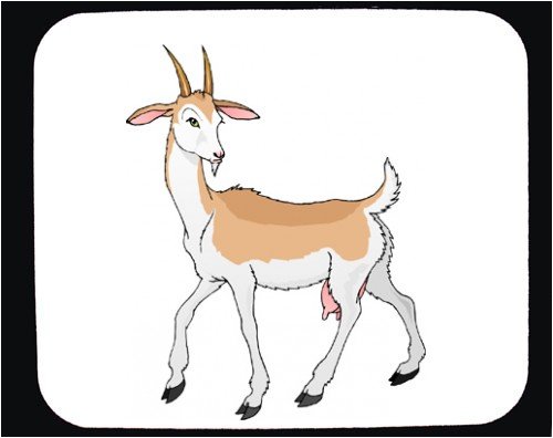 Mouse Pad with animal, gazelle