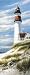 Lighthouse on Cliff Landscapes Art Poster Print by T. C. Chiu, 8x20